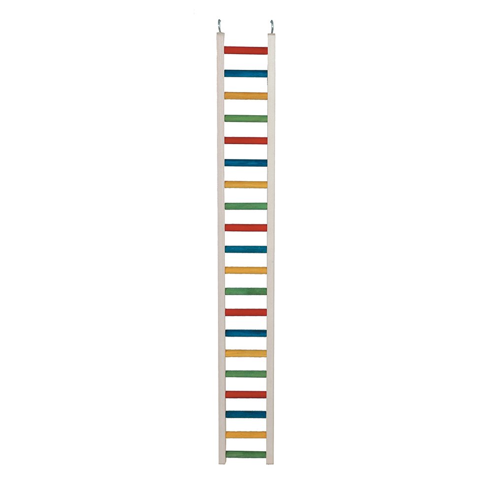 Multicoloured Parrot Ladder