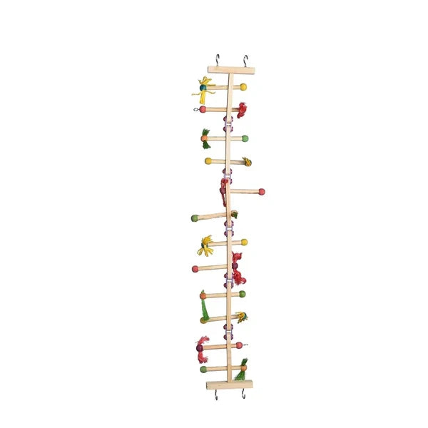 Forage'n'Play Ladder