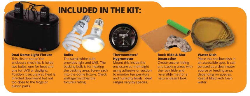 Eco Tech Bearded Dragon Starter Kit
