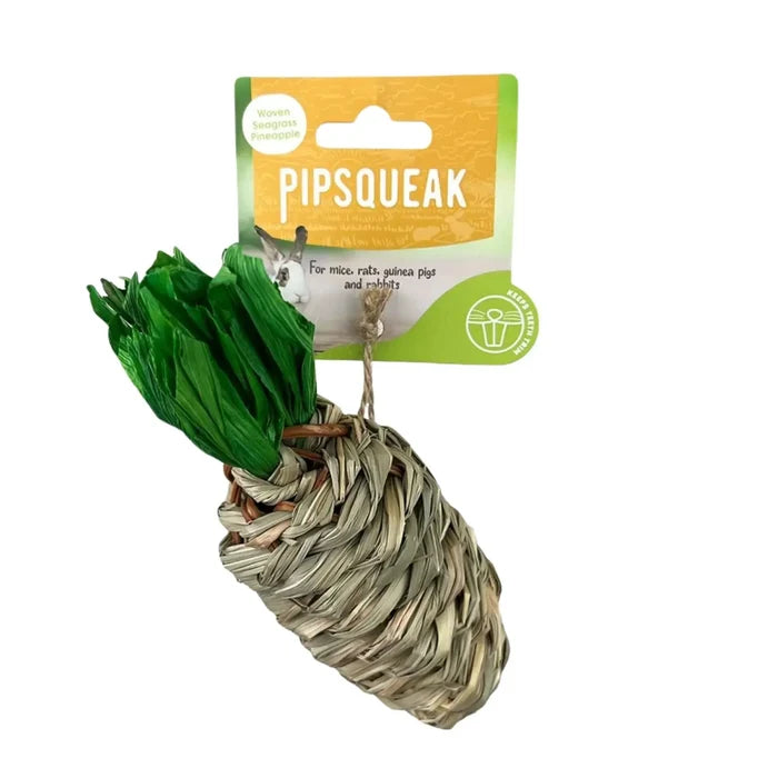 Natural Bird & Small Animal Chew Toy