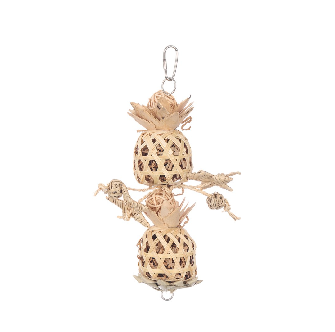 Double Pineapple Toy