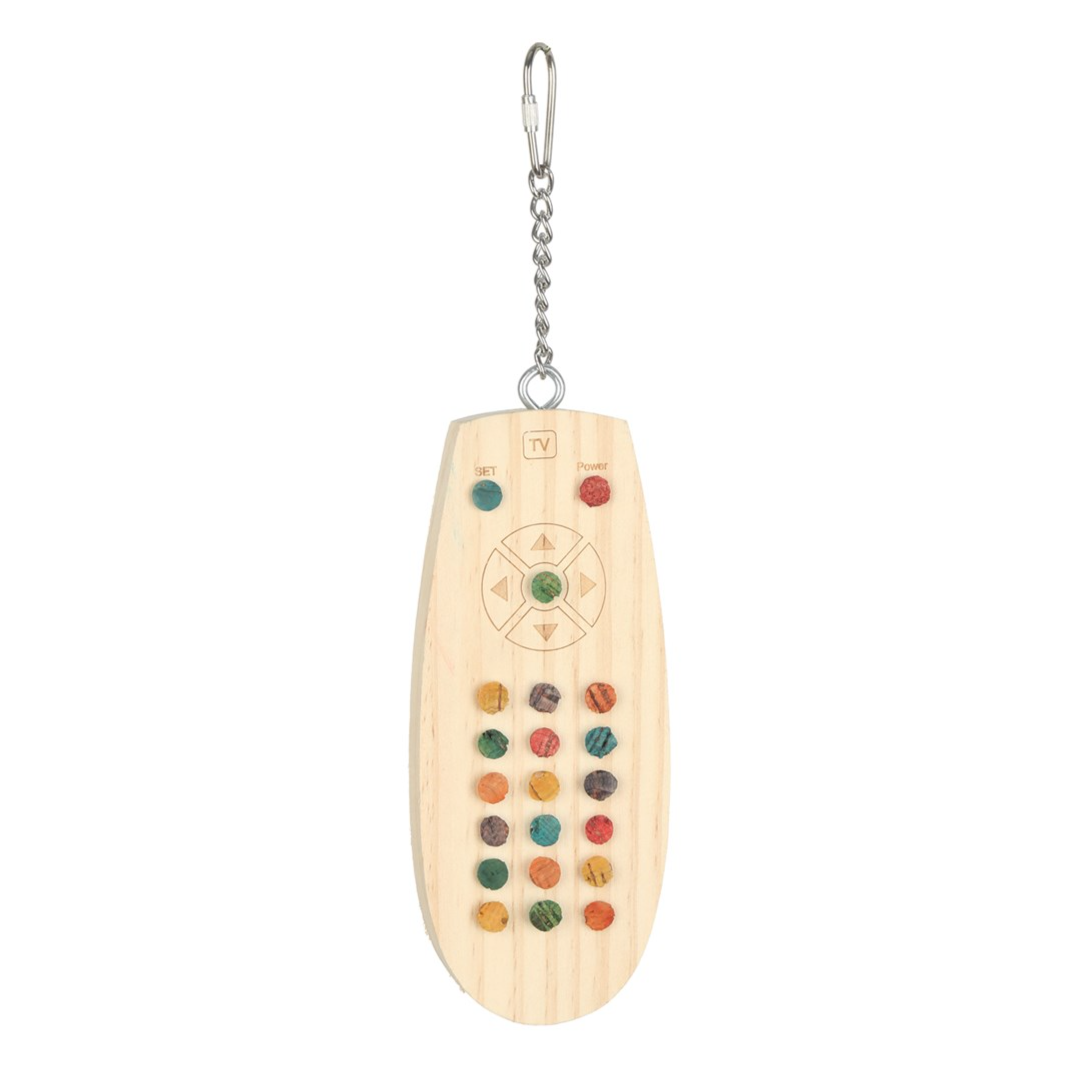 TV Remote Controller