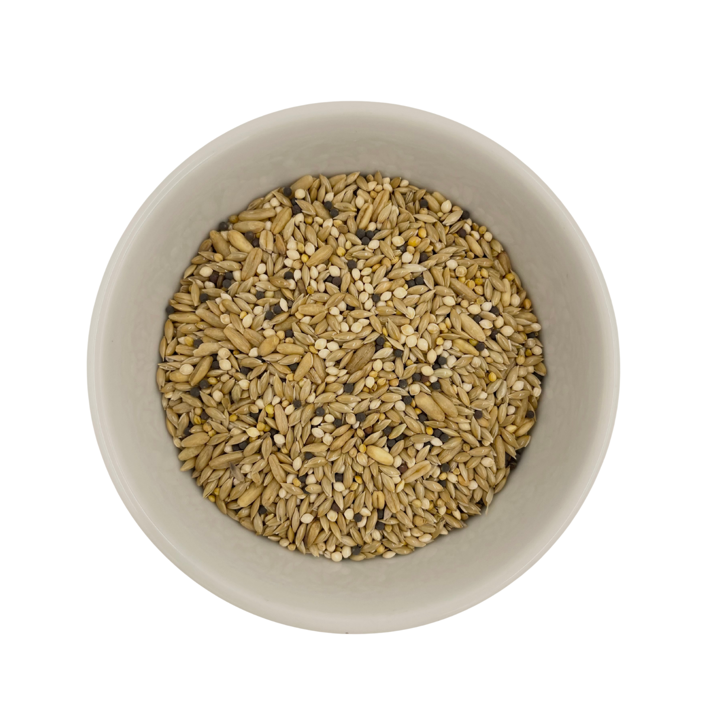 Basic Canary Mix