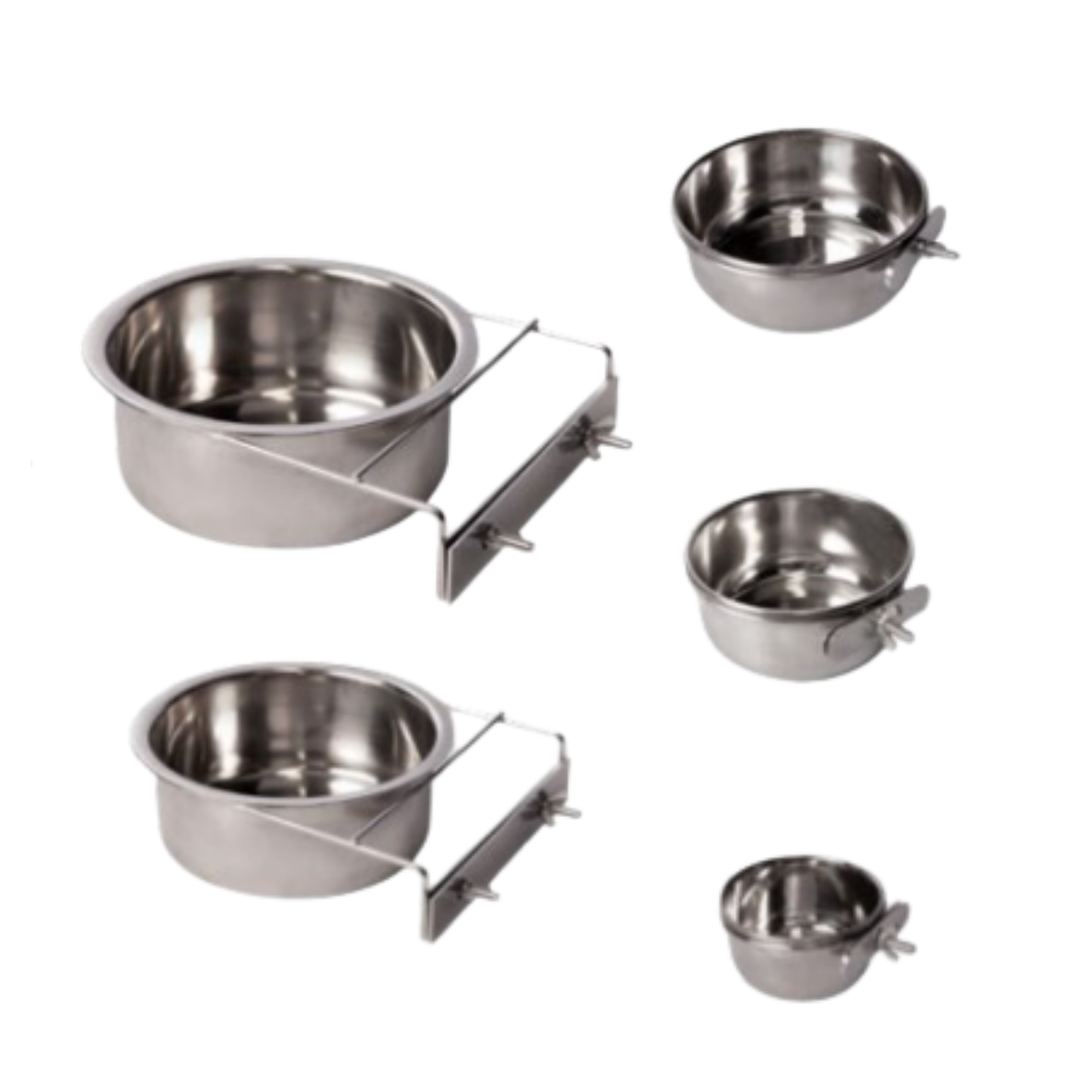 Coop Cup with Clamp Holder