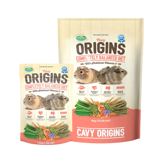 Cavy Origins