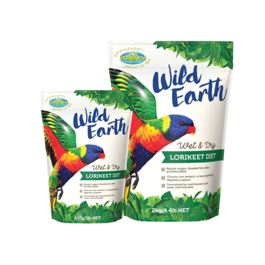 Wild Earth Lorikeet