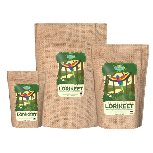 Forest Fusion Lori Diet
