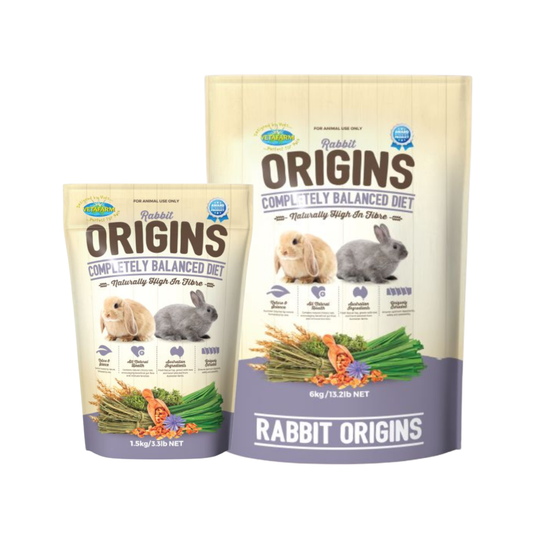 Rabbit Origins