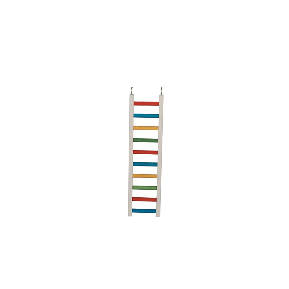 Multicoloured Parrot Ladder