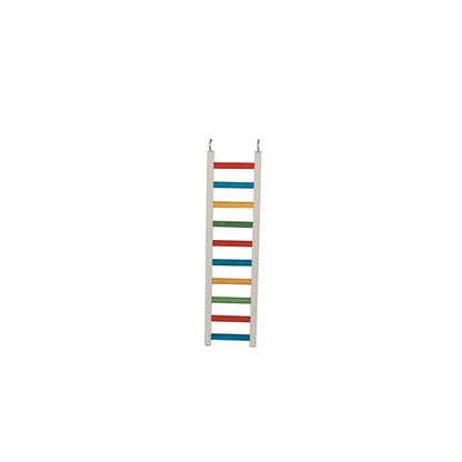 Multicoloured Parrot Ladder