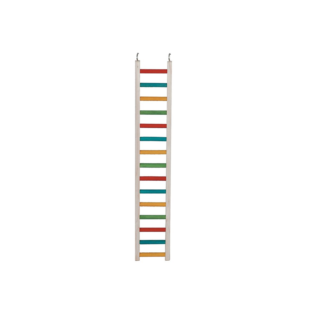 Multicoloured Parrot Ladder