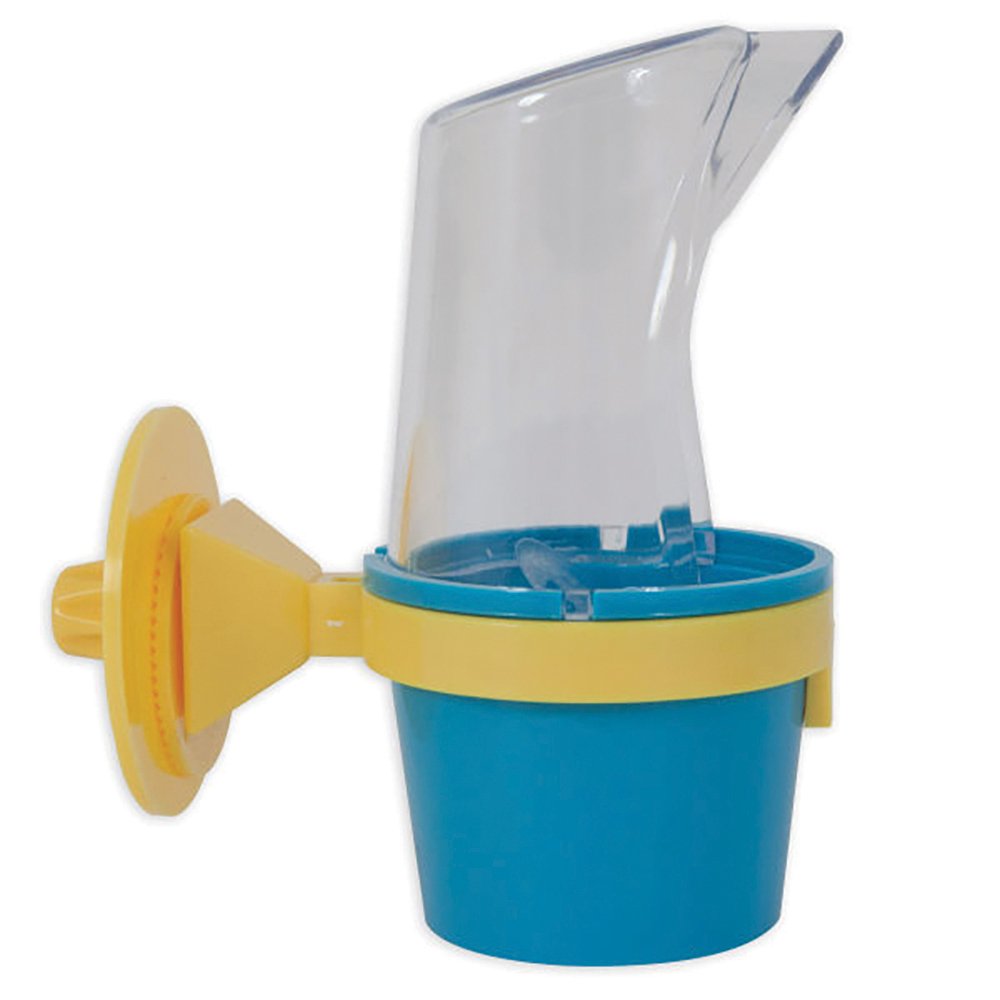 Clean Cup
