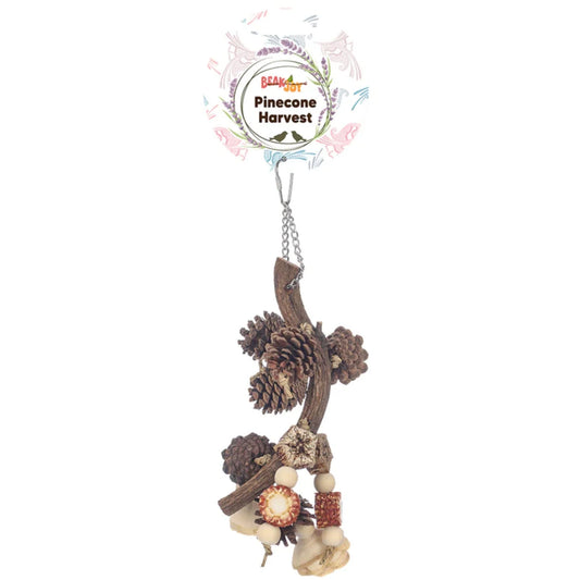 Bird toy with pinecones and branches on a white background