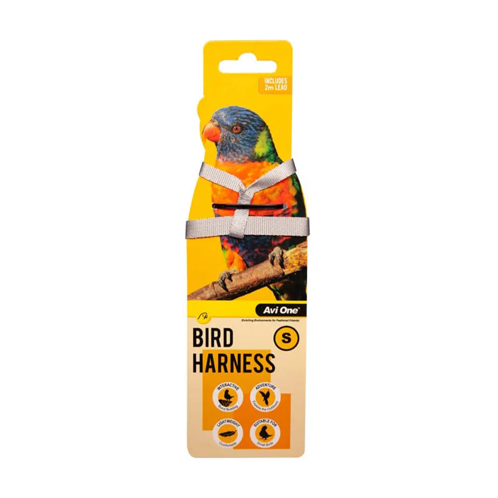 Bird Harness & Lead