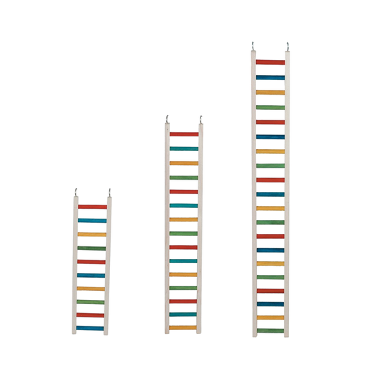 Three wooden wall ladder-style shelves or racks in ascending sizes, each with multicolored horizontal slats and small metal hanging hooks at the top, shown on a plain white background.