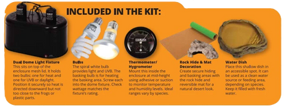 Eco Tech Bearded Dragon Starter Kit
