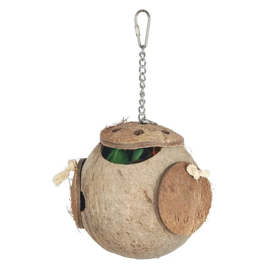Foraging Coconut