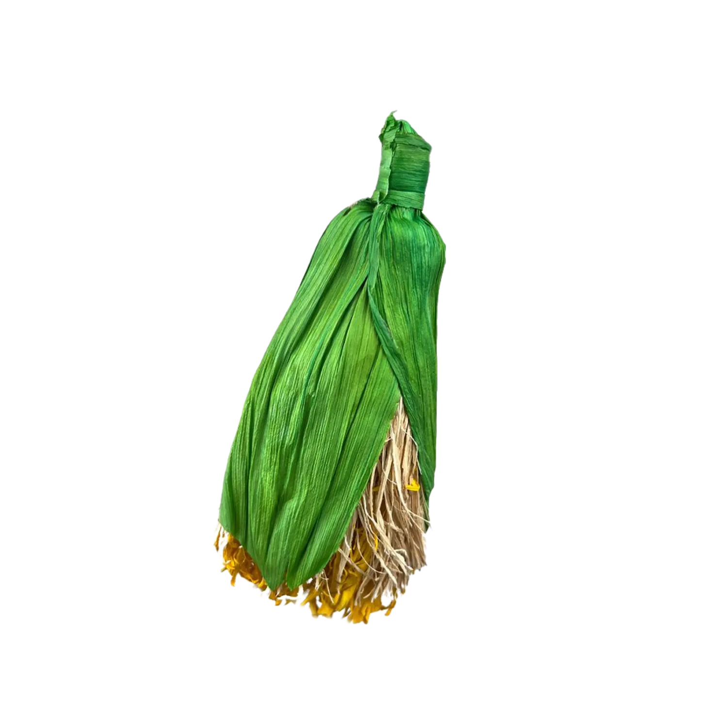 A green corn husk bundle with a natural beige and yellow root-like base, isolated on a solid black background. Rabbit, guinea pig, rodents or bird toy