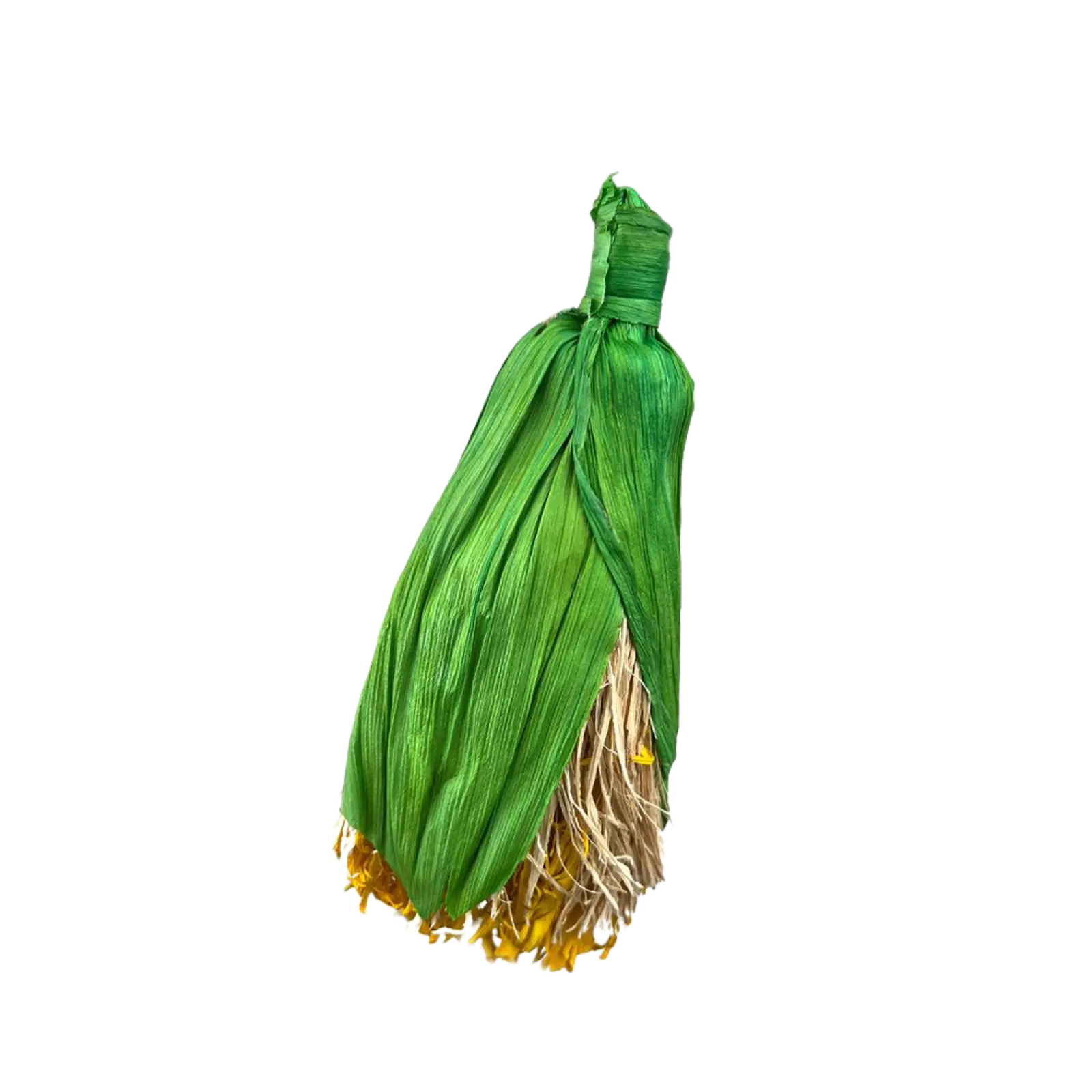 A green corn husk bundle with a natural beige and yellow root-like base, isolated on a solid black background. Rabbit, guinea pig, rodents or bird toy