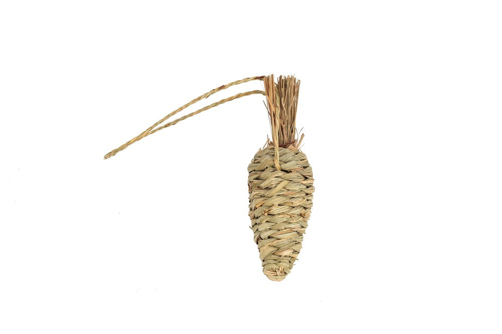 Seagrass Carrot