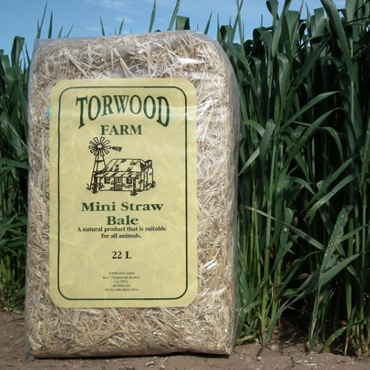 Torwood Farm Mini Straw Bale 22L