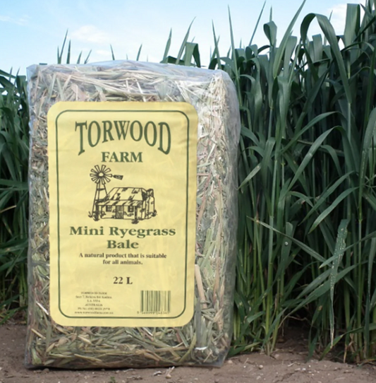 Torwood Farm Mini Ryegrass Bale 22L