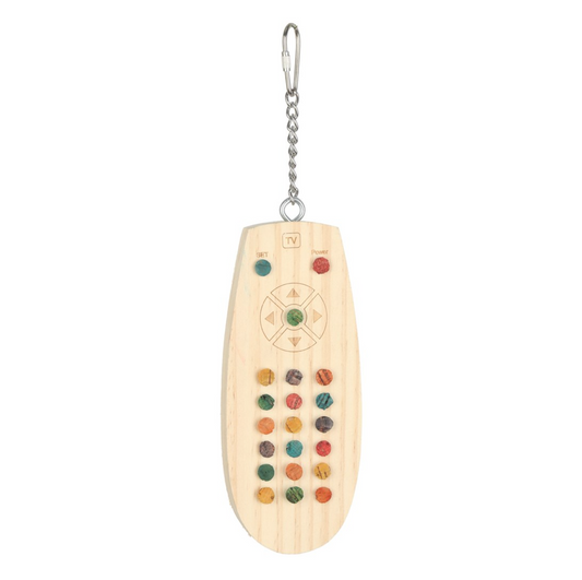 TV Remote Controller