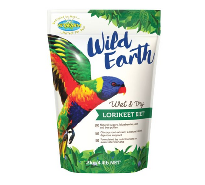 Wild Earth Lorikeet