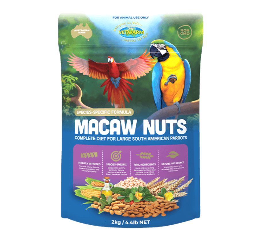 Macaw Nuts