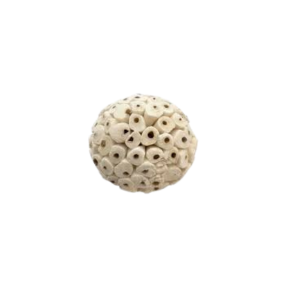 Sola Balls