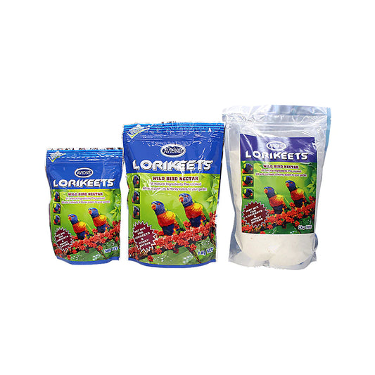 Lorikeet Wild Bird Nectar