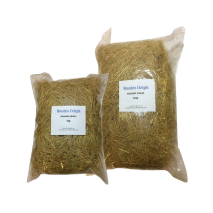Swamp Grass