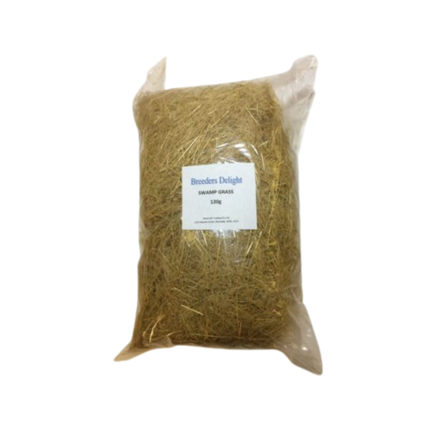 Swamp Grass