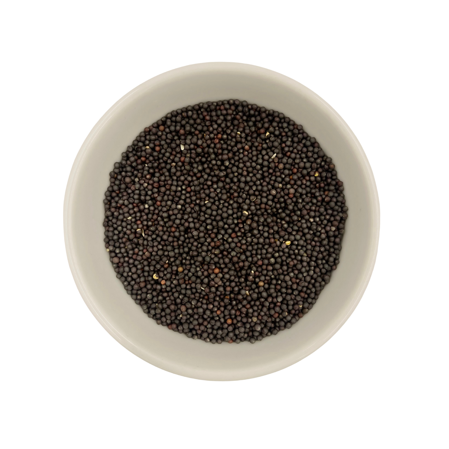 Canola Seed