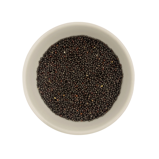 Canola Seed