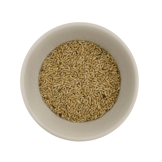 Canary Plain Seed