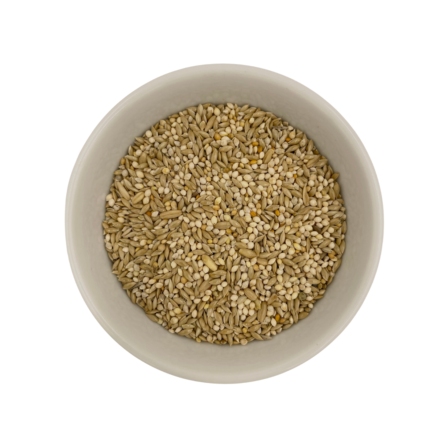 Basic Budgie Mix