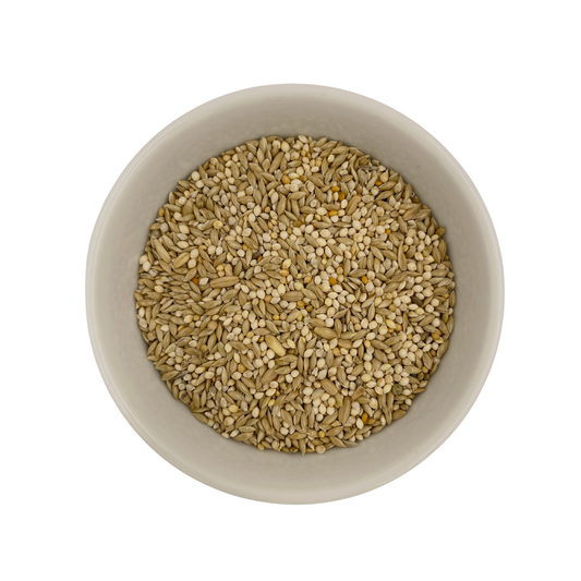 Basic Budgie Mix