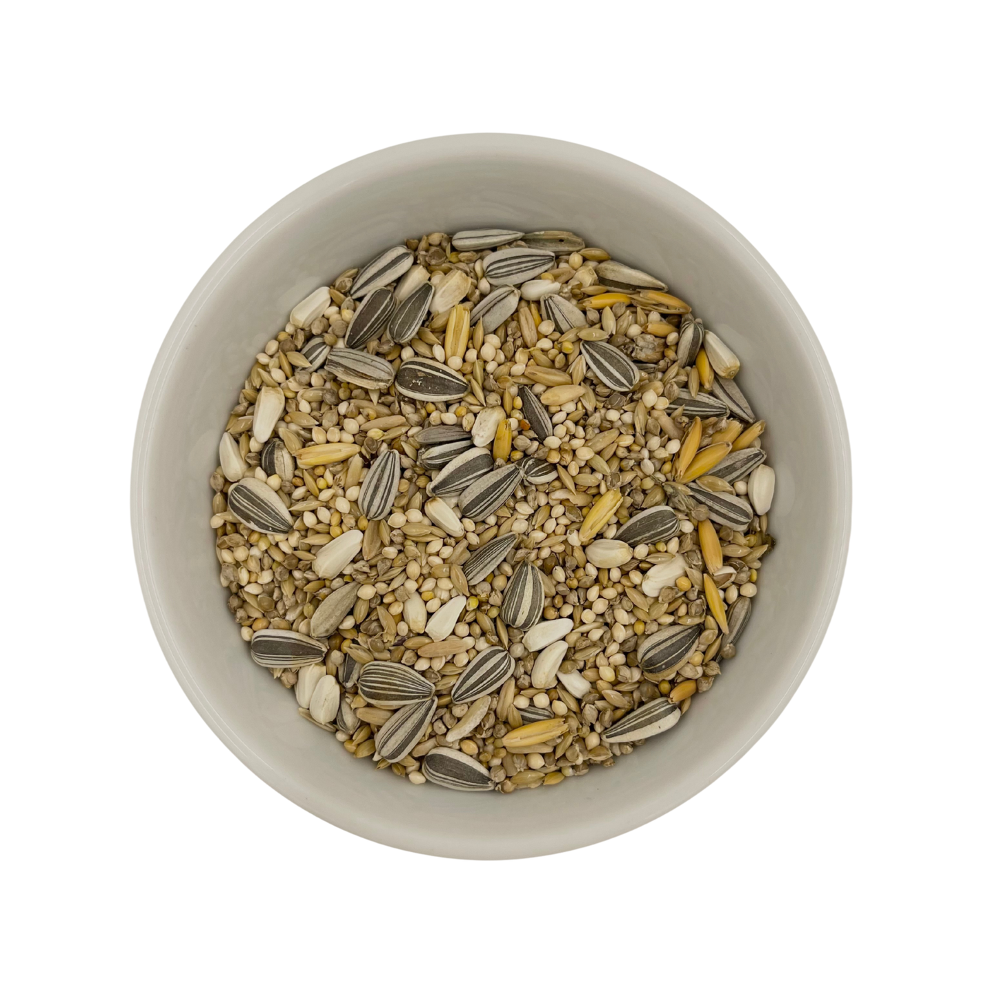 Basic Cockatiel Mix