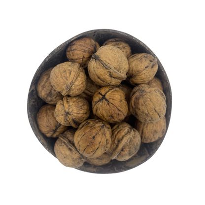 Shelled Walnuts 500g