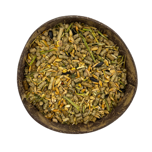 Birdsville Blends Rabbit Guinea Pig Mix