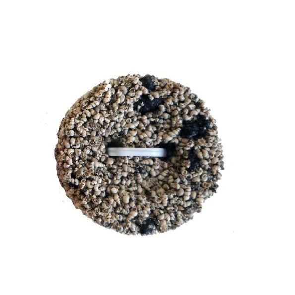 Calcium & Charcoal Grit Button