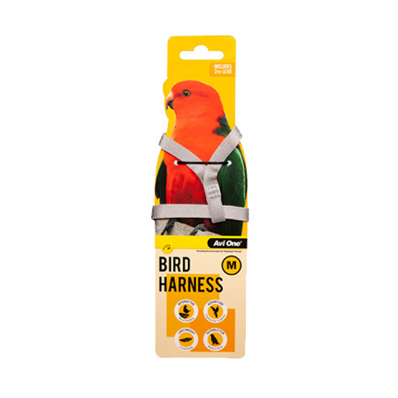 Bird Harness & Lead